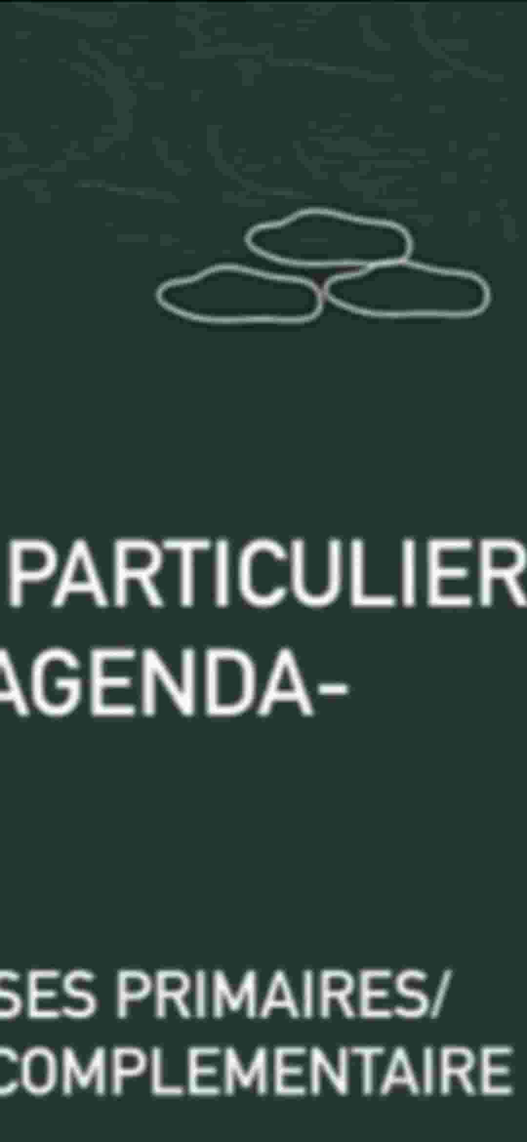 Private lessons teacher Agenda seventh eighth ninth