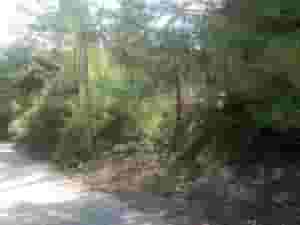 ارض للبيع في ديربلا مساحة 700متر 