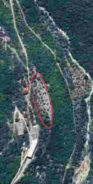 ارض مشجرة زيتون للبيع في مخمرش مساحة 3600متر 