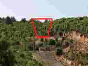 ارض للبيع في ديربلا مساحة 750متر 