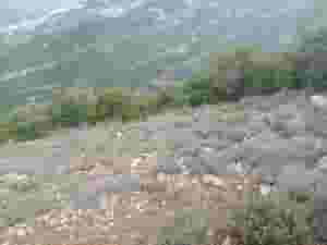 بلوك ارض للبيع في بيت كساب - حردين مساحة 17500م