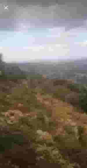 ارض للبيع في داعل قضاء البترون مساحة 1878متر 